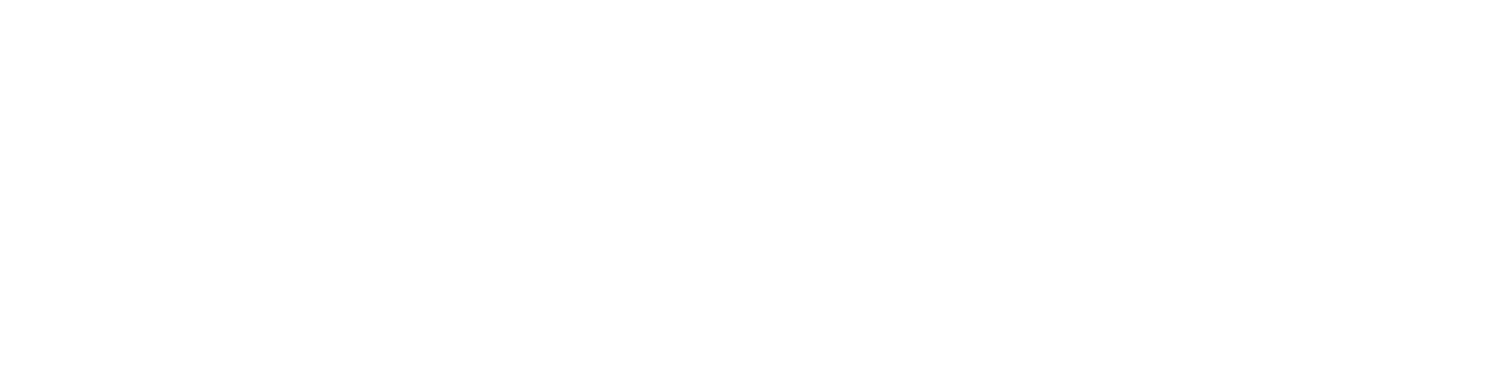 BN.BN2 Series Logo