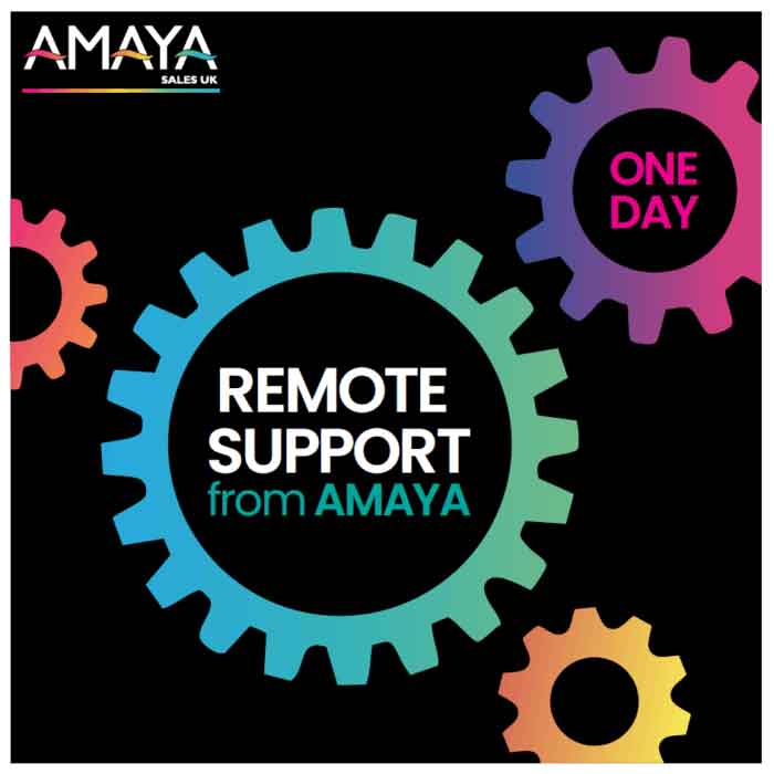 One Year Remote Support Package
